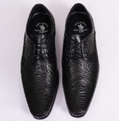 Shoe2
